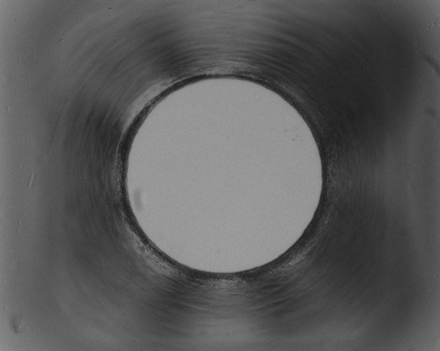 X0000103291122200809261243