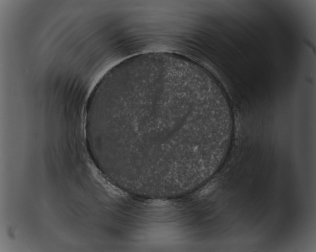 X0000103291124200809261243