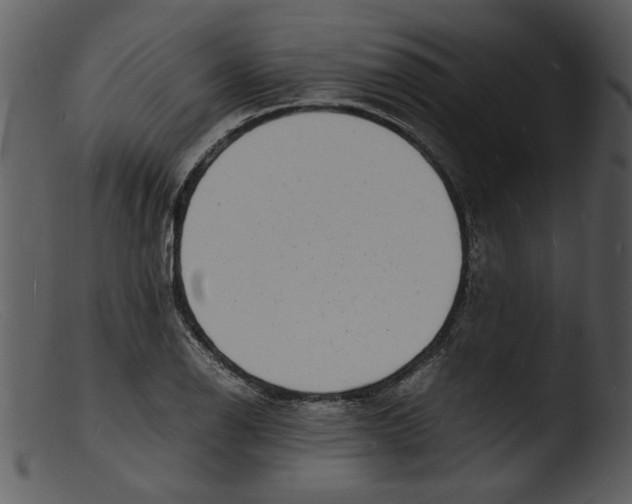 X0000103291126200809261243