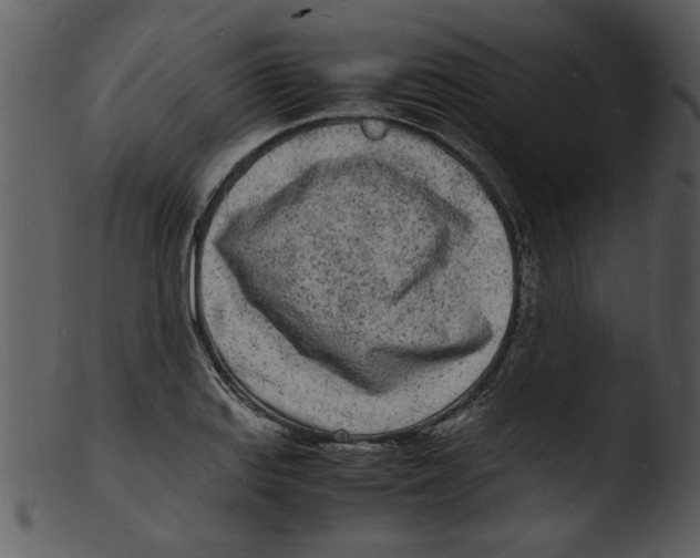 X0000103291127200809261243