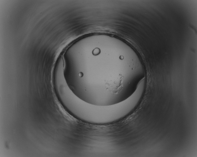 X0000103291128200809261243