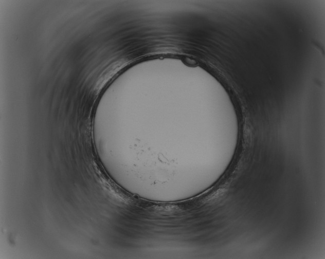 X0000103291129200809261243