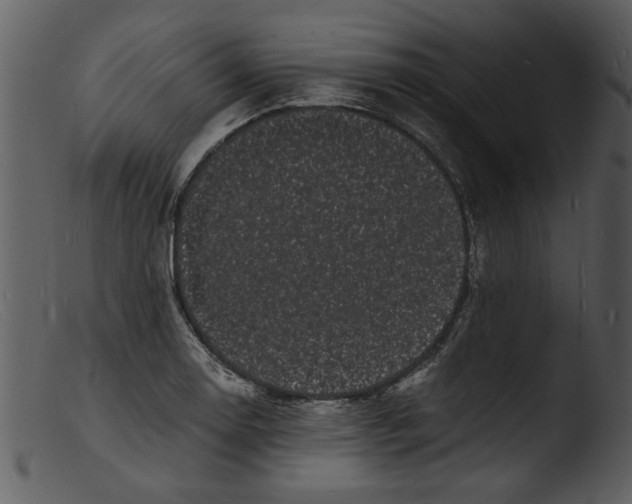 X0000103291130200809261243