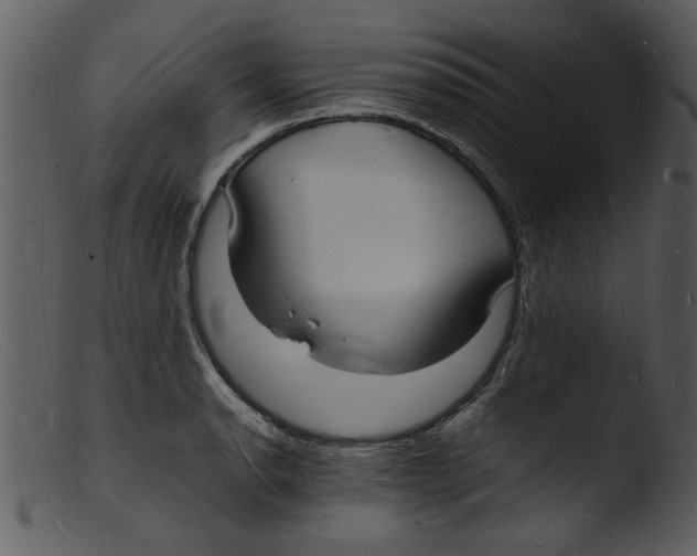 X0000103291134200809261243