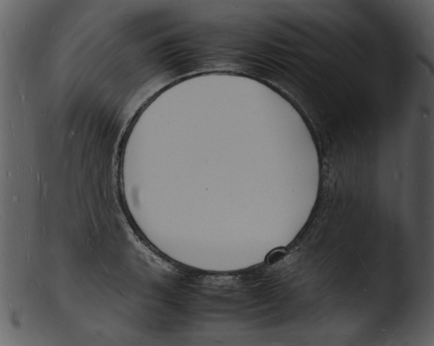 X0000103291135200809261243