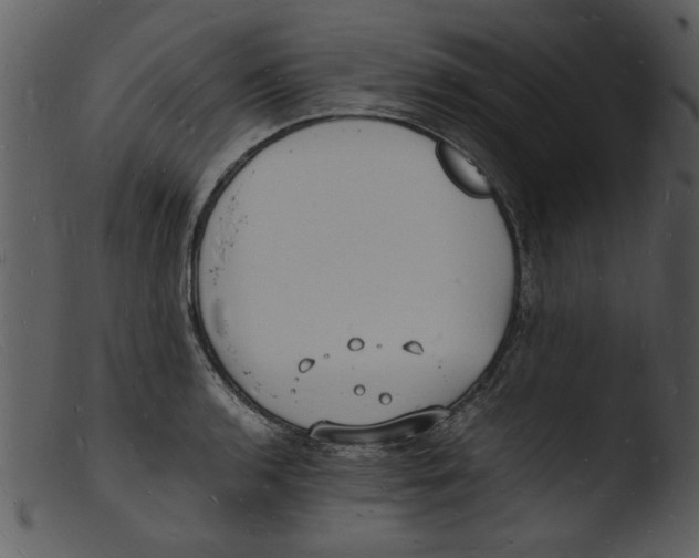 X0000103291136200809261243