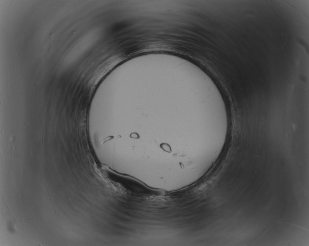 X0000103291137200809261243