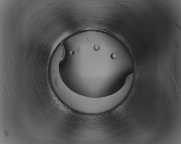 X0000103291138200809261243