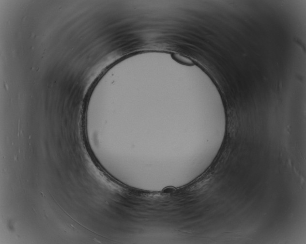 X0000103291139200809261243