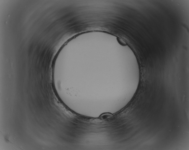X0000103291140200809261243