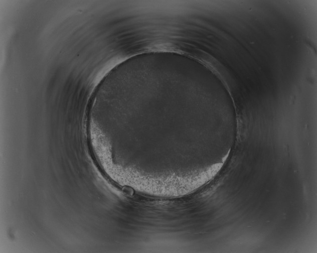 X0000103291141200809261243