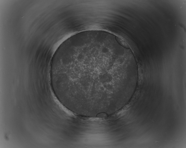 X0000103291142200809261243