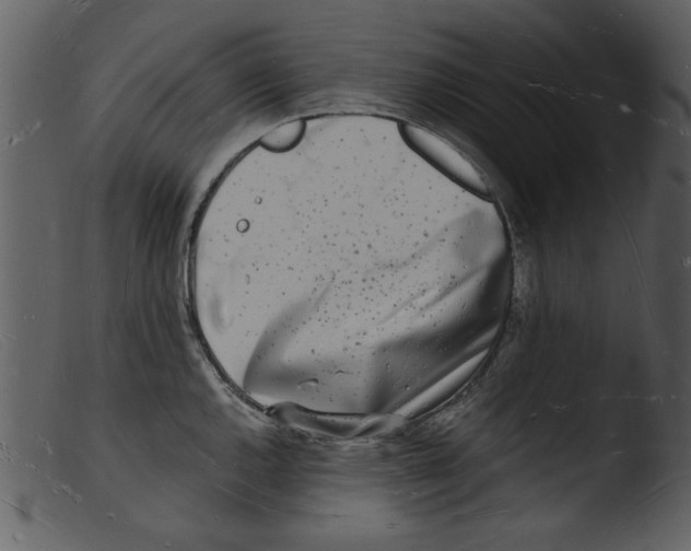 X0000103291144200809261243