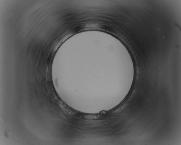 X0000103291145200809261243