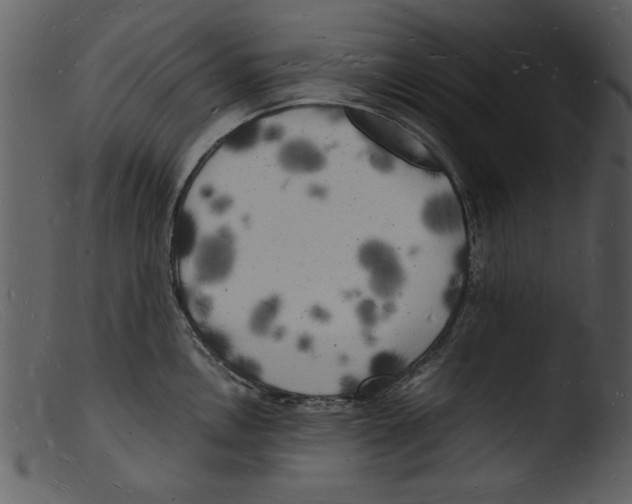 X0000103291146200809261243