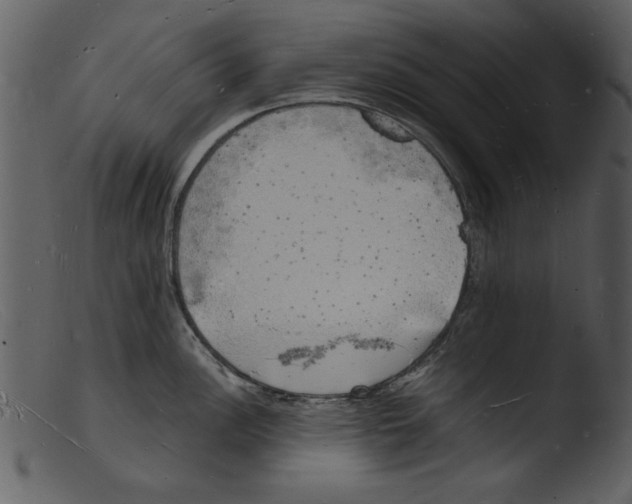 X0000103291148200809261243