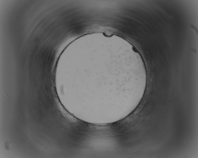 X0000103291152200809261243