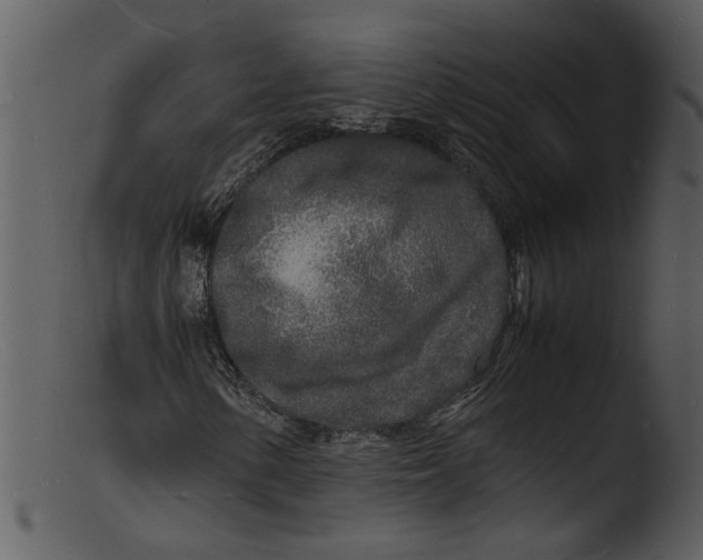 X0000103291154200809261243