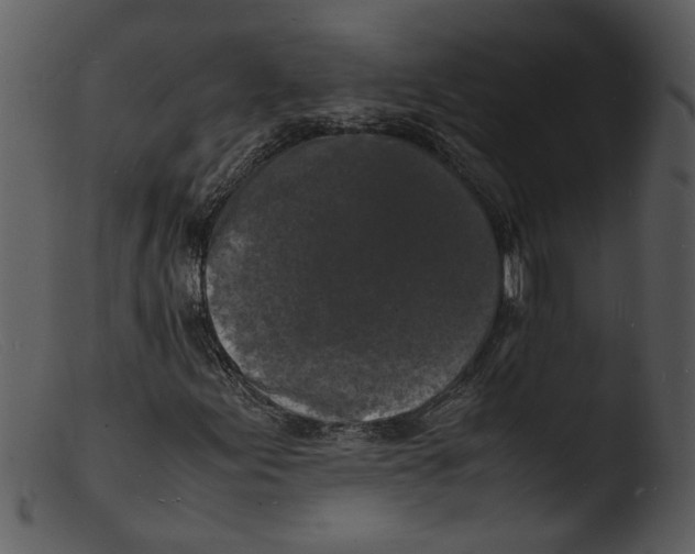 X0000103291155200809261243