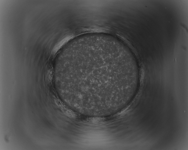 X0000103291163200809261243