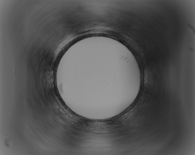 X0000103291164200809261243