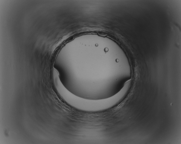 X0000103291165200809261243