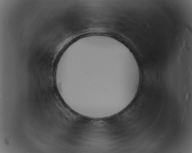 X0000103291168200809261243