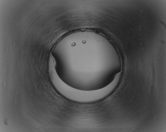 X0000103291169200809261243
