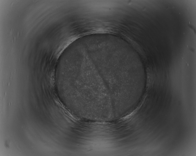 X0000103291170200809261243