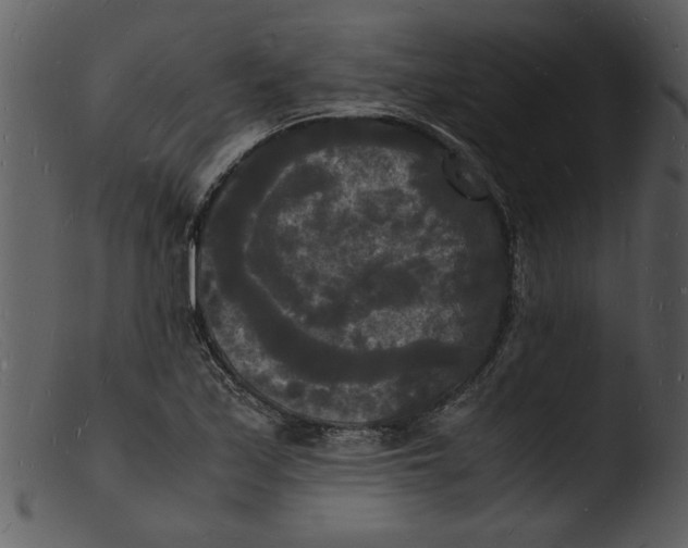 X0000103291171200809261243