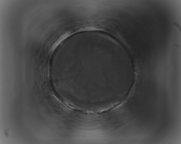 X0000103291173200809261243