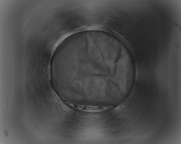 X0000103291174200809261242