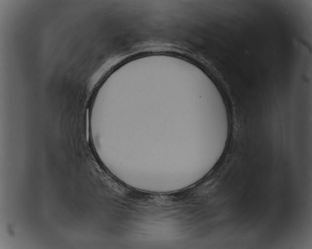 X0000103291175200809261242