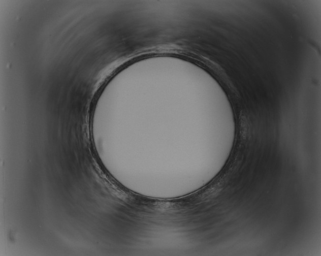 X0000103291176200809261242