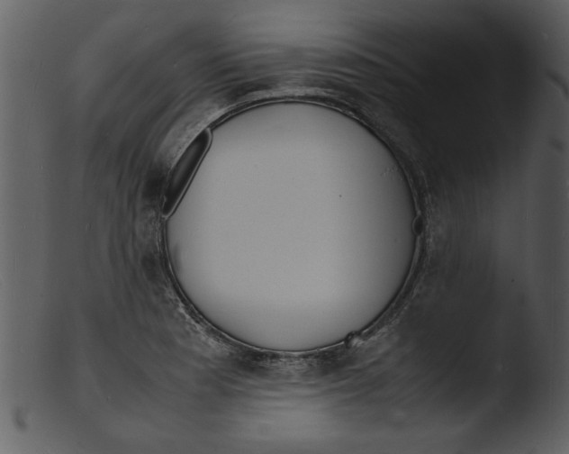 X0000103291177200809261242