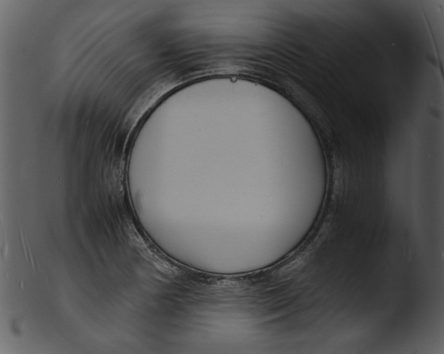 X0000103291178200809261242
