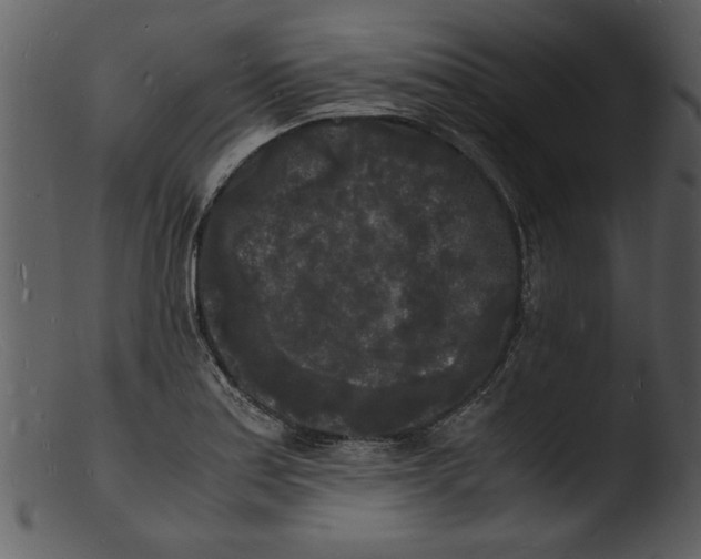 X0000103291179200809261242