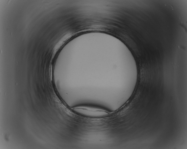 X0000103291180200809261242