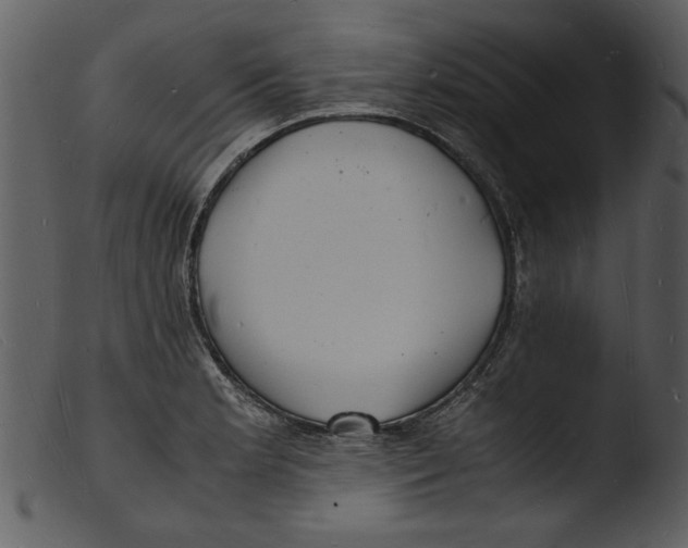 X0000103291181200809261242