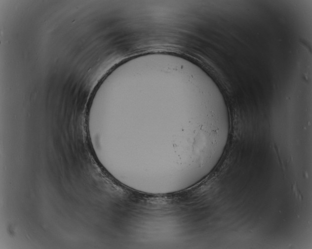 X0000103291182200809261242