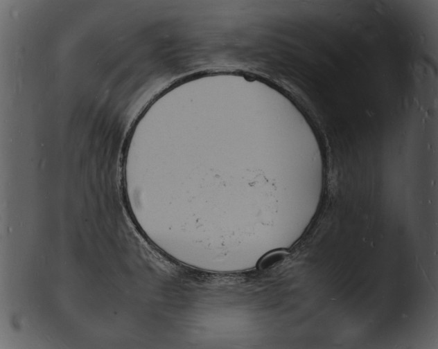 X0000103291183200809261242