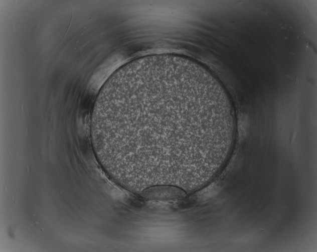 X0000103291185200809261242