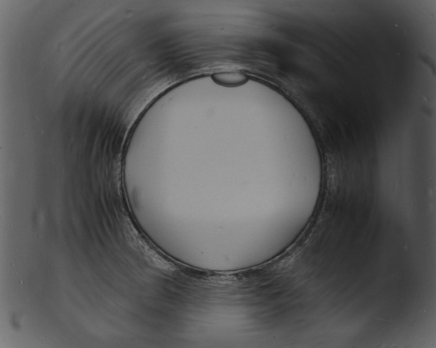X0000103291186200809261242