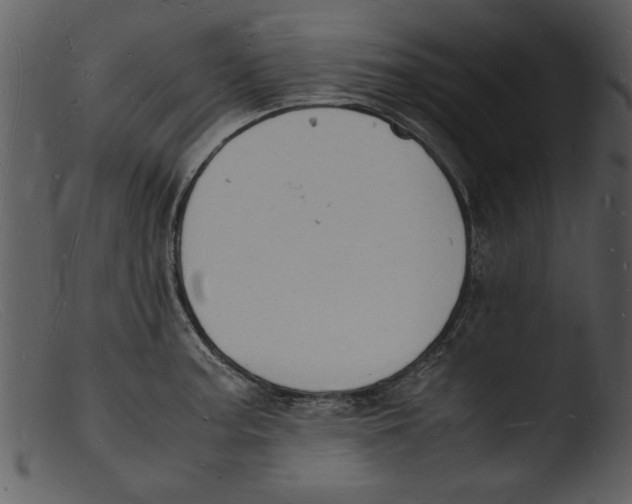 X0000103291187200809261242