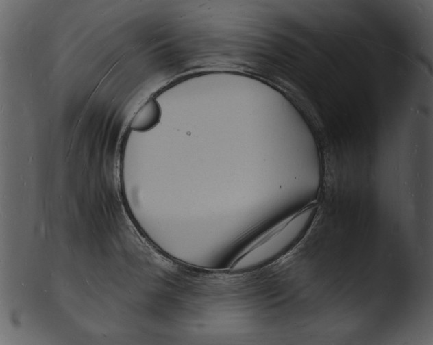 X0000103291188200809261242