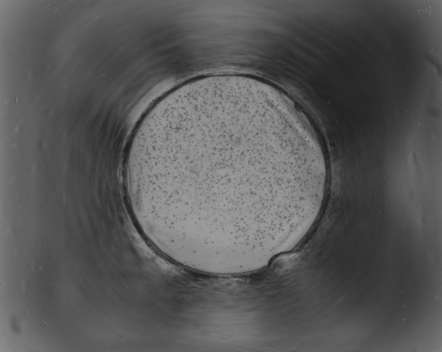 X0000103291189200809261242