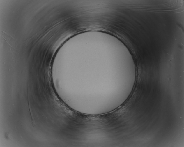 X0000103291190200809261242