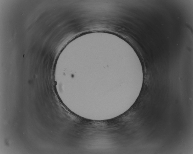X0000103291191200809261242