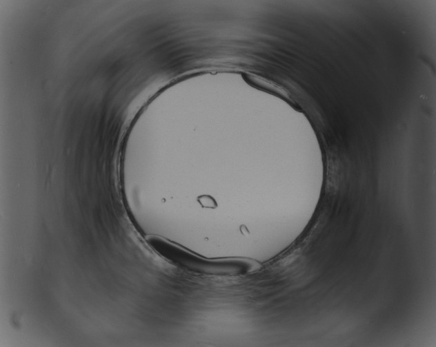 X0000103291196200809261242