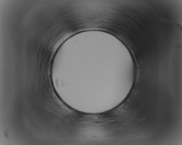 X0000103291197200809261242
